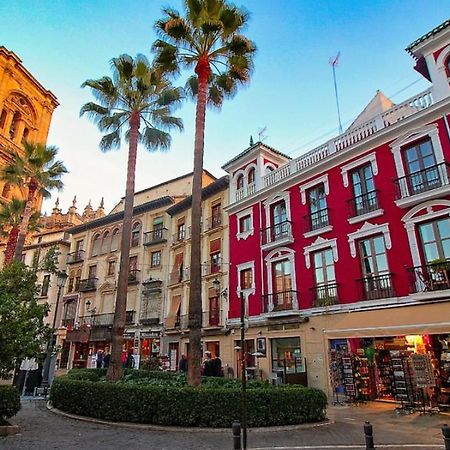 Apartamento Con Terraza A 4 Minutos De La Catedral グラナダ エクステリア 写真