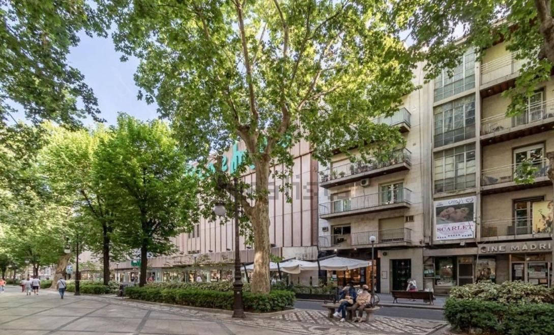 Apartamento Con Terraza A 4 Minutos De La Catedral グラナダ エクステリア 写真
